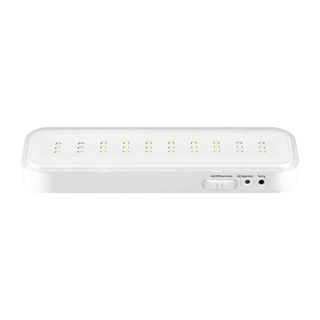 Светильник аккумуляторный DL4350 30LED AC/DC, белый 