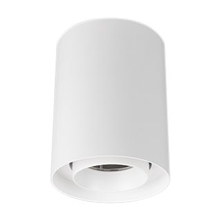 Светильник SP-FOCUS-R110-18W Day4000 (WH, 36 deg, 230V) (Arlight, IP54 Металл, 5 лет)