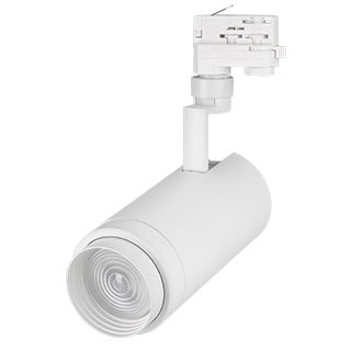 Светильник LGD-ZEUS-TRUECOLOR-4TR-R100-30W Day4000 CRI98 (WH, 20-60 deg, 230V) (Arlight, IP20 Металл