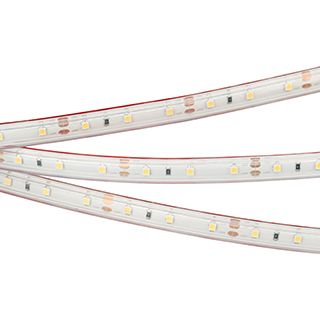 Светодиодная лента герметичная RTW-PS-A60-10mm 12V White6000 (4.8 W/m, IP67, 2835, 5m)