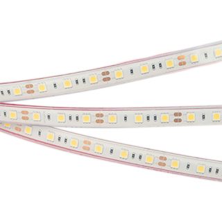 Светодиодная лента герметичная RTW-PFS-B60-13mm 12V Day5000 (14.4 W/m, IP68, 5060, 5m)