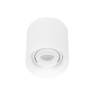 Светильник SP-ACENTO-R95-10W Warm2700 (WH, 20-45 deg, 230V) (Arlight, IP20 Металл, 5 лет)