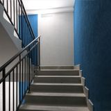 d_12901.jpg
