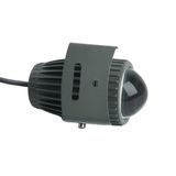 f_48499.jpg