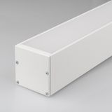 d_DL-01500-0431.jpg