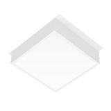 e_DL-04200-0003.jpg