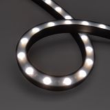 f_DL-03500-0007.jpg