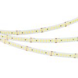 e_DL-06300-0096.jpg
