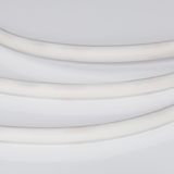 d_DL-06600-0005.jpg