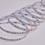 b_DL-06-1306.JPG