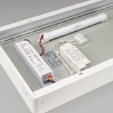 e_DL-04900-0002.jpg