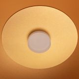 d_DL-12400-0499.jpg