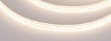 d_DL-06900-0496.jpg