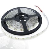 a_53305.jpg