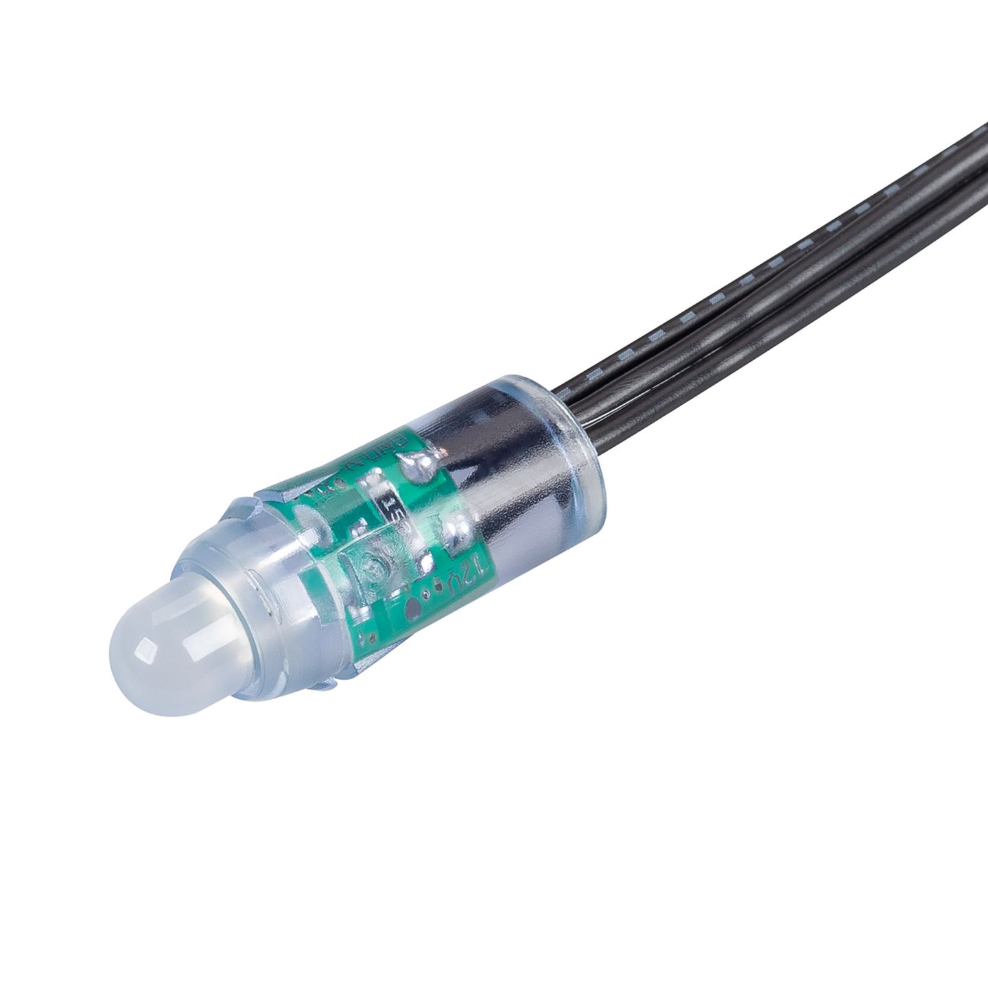 a_DL-10300-0031.jpg
