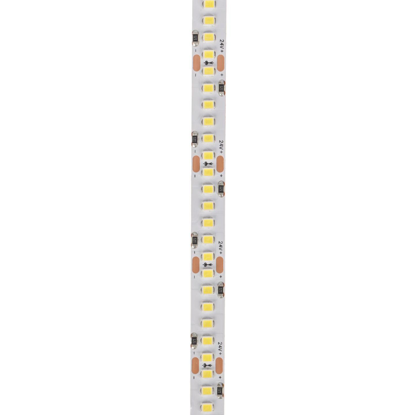 b_DL-06-1295.jpg