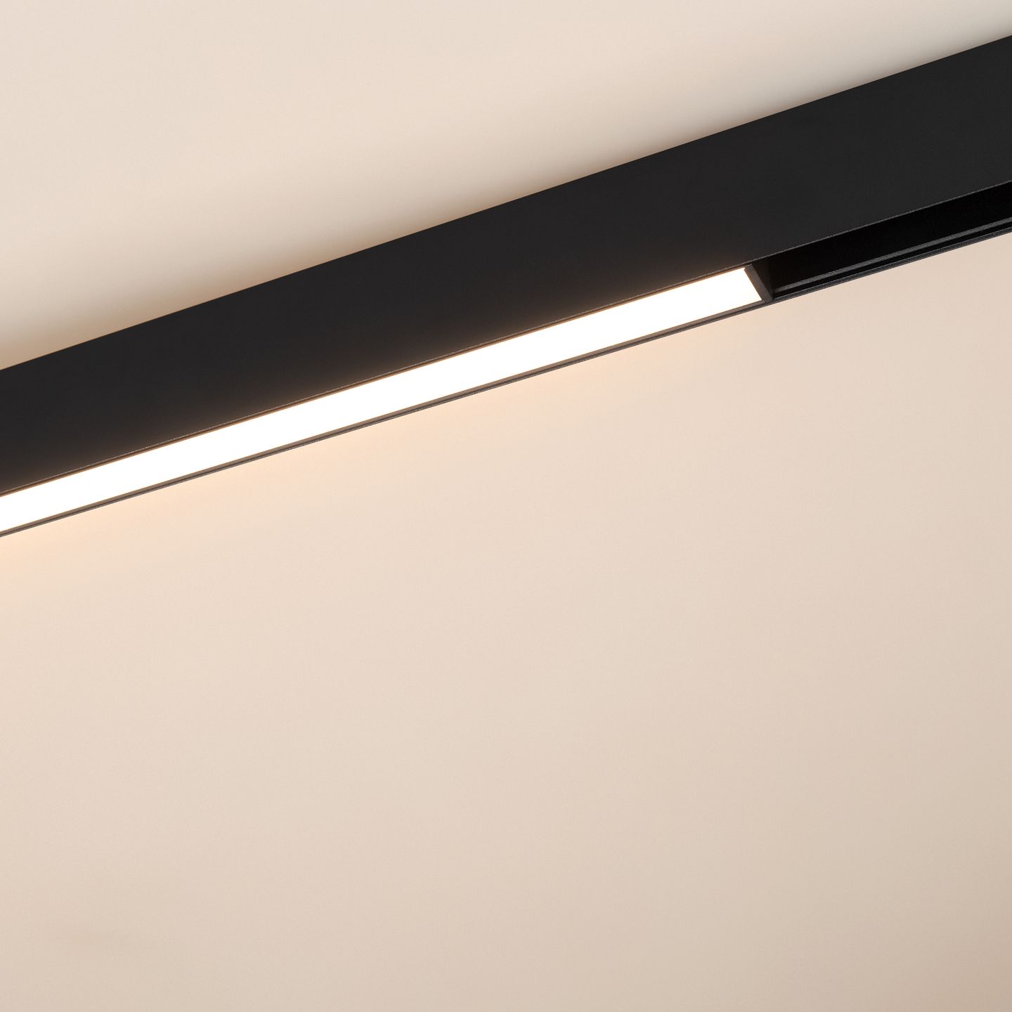 d_DL-12600-0503.jpg