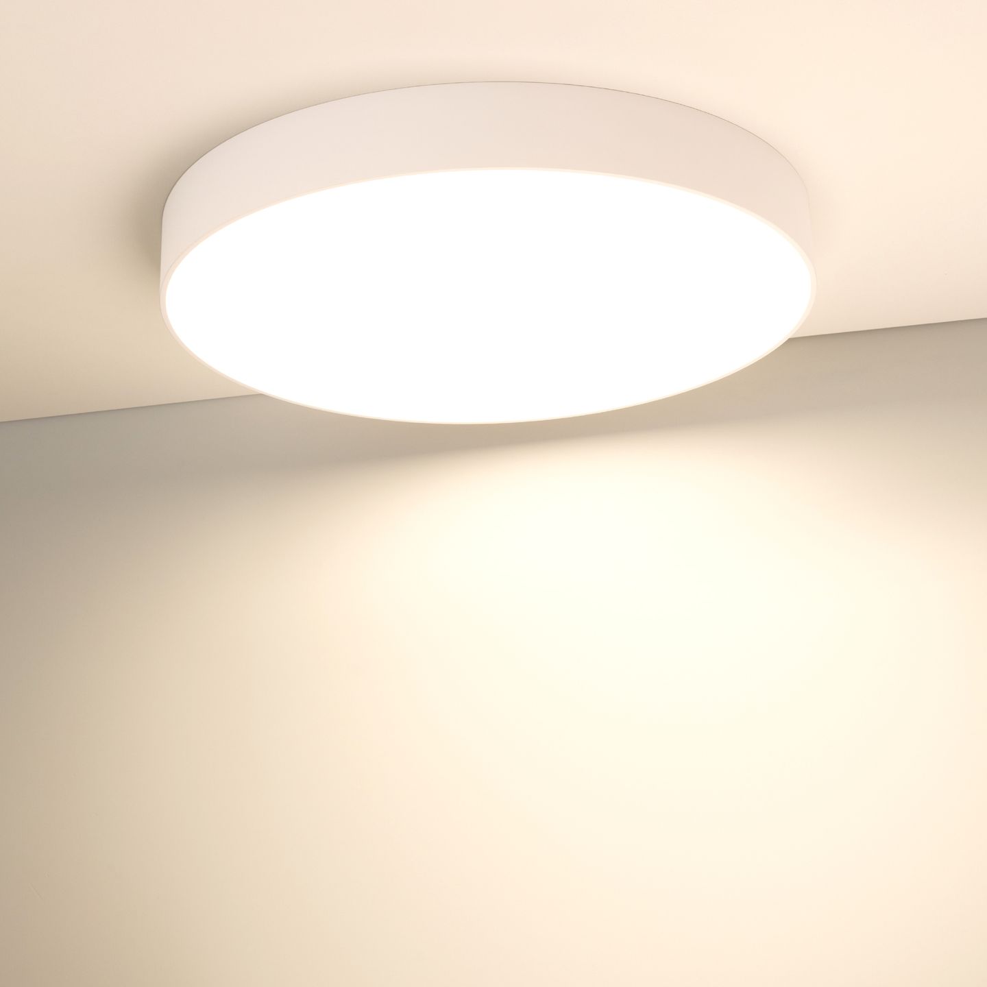 b_DL-12400-0580.jpg