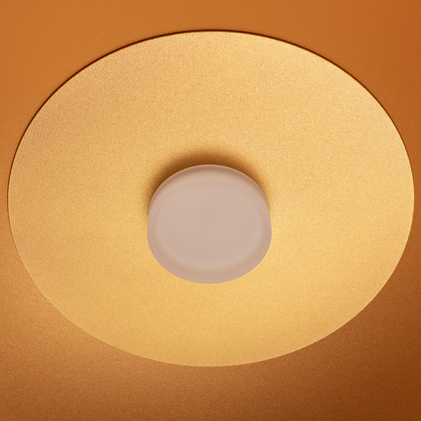 b_DL-12400-0507.jpg