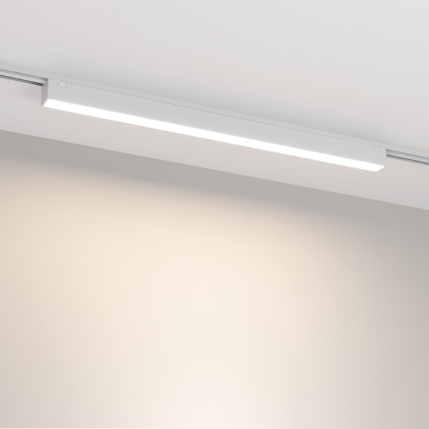b_DL-12600-0774.jpg