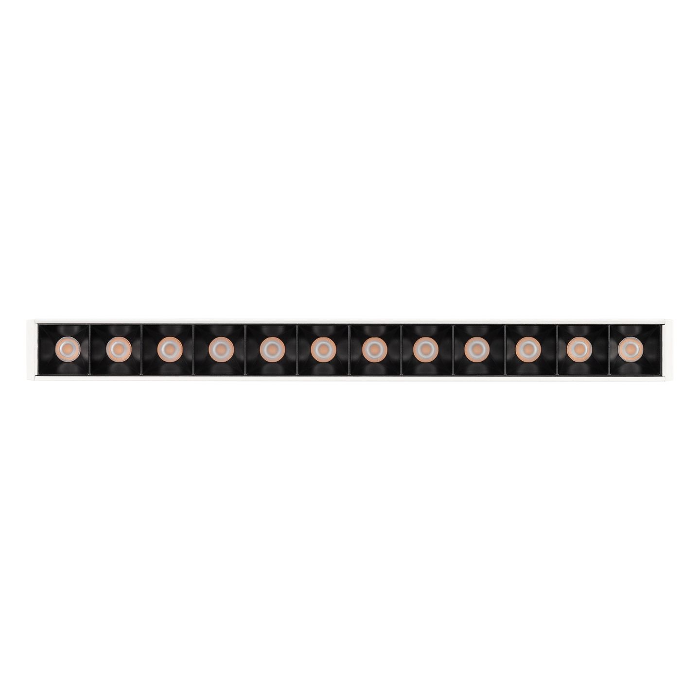 c_DL-12600-0543.jpg