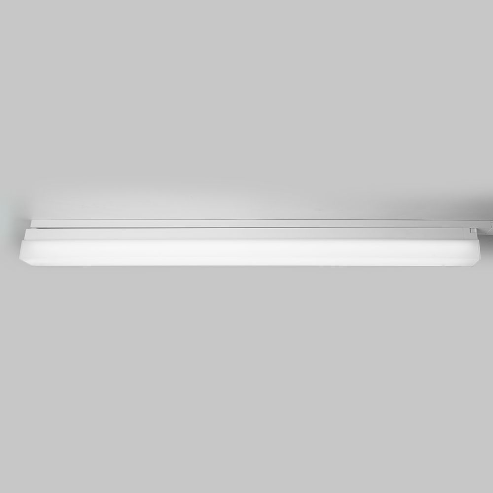 c_48572.jpg