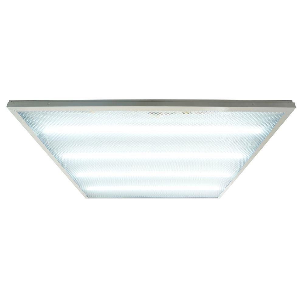 e_51162.jpg