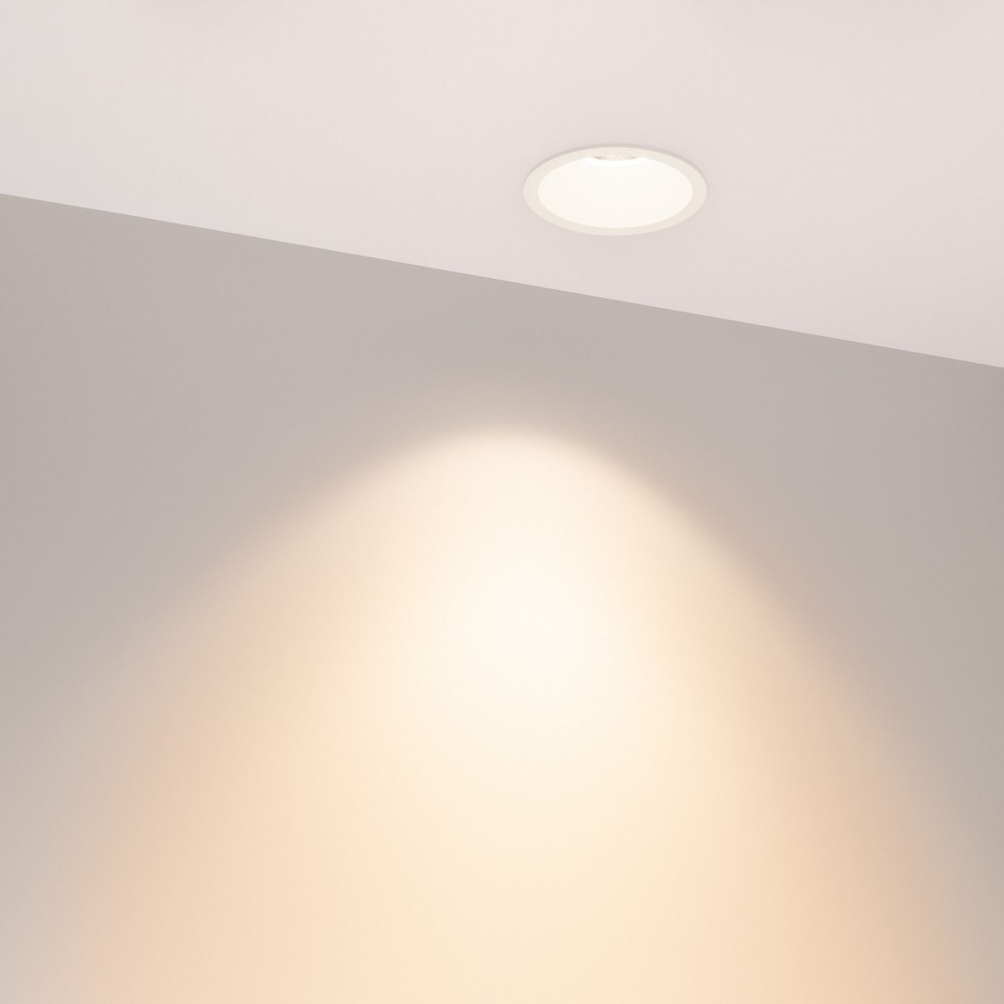 f_DL-04300-0239.jpg