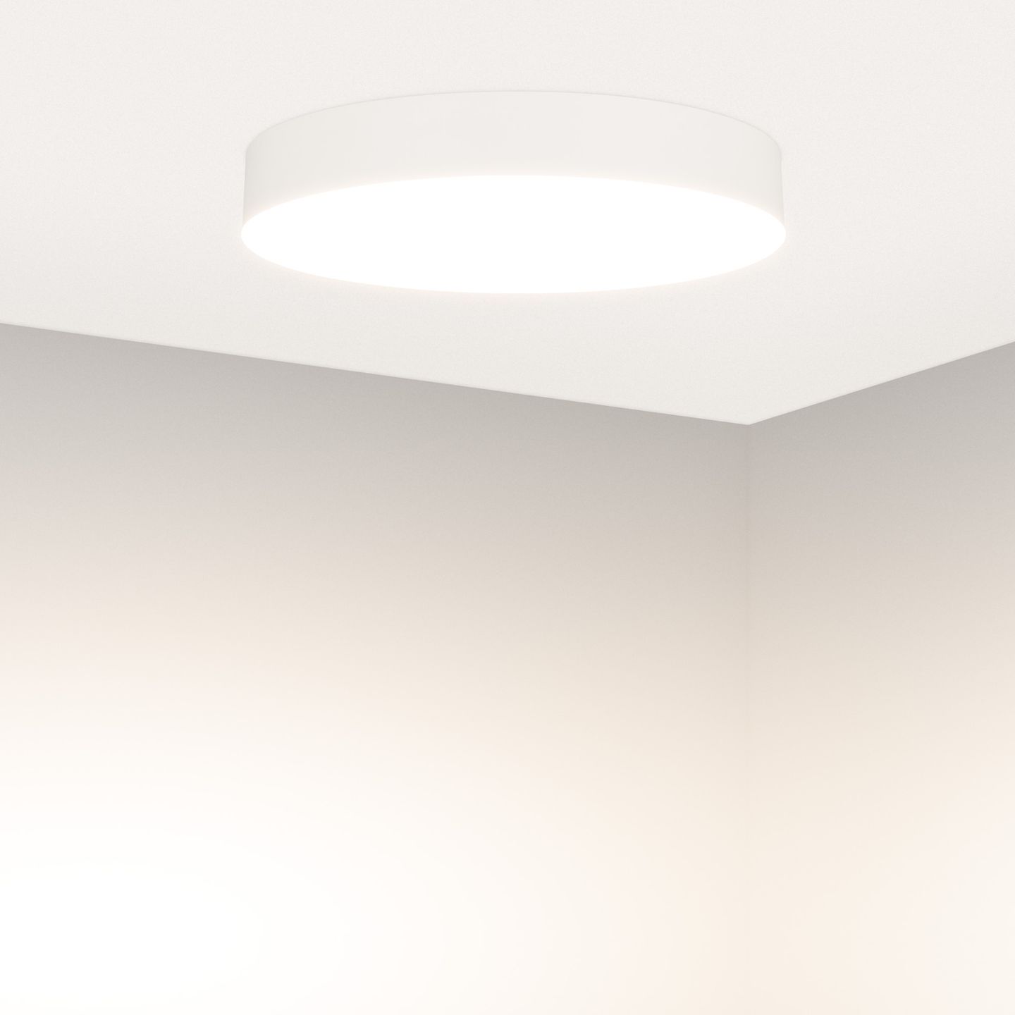 d_DL-12400-0201.jpg