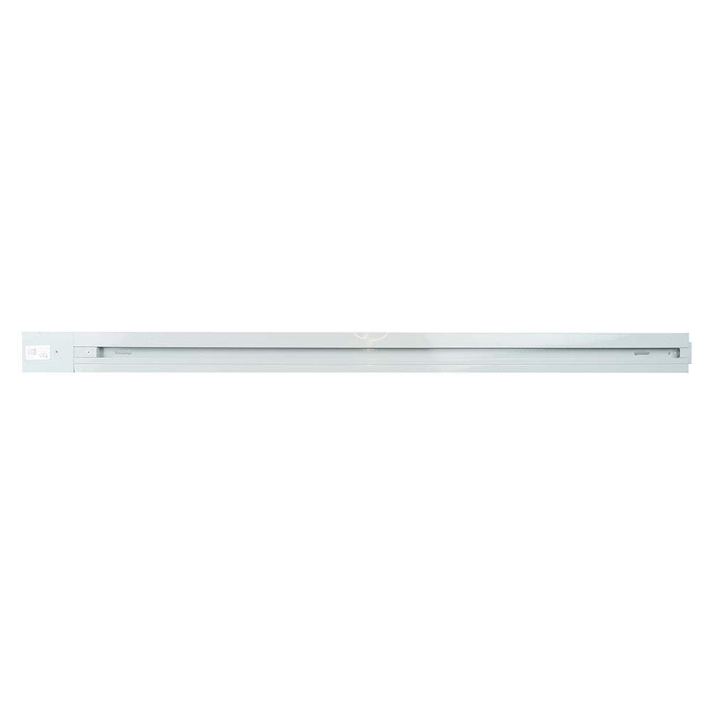 b_10351.jpg